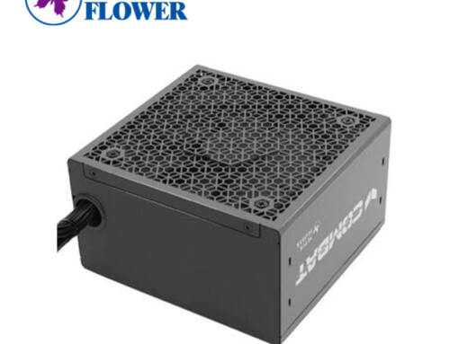 SuperFlower振華 COMBAT DG 750W 1000W【金牌直出電源】